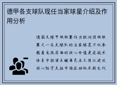 德甲各支球队现任当家球星介绍及作用分析