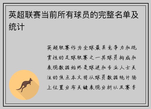 英超联赛当前所有球员的完整名单及统计